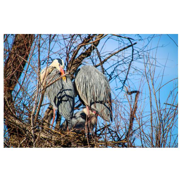 PHOTO84, CLUB, 84 , LUBERON